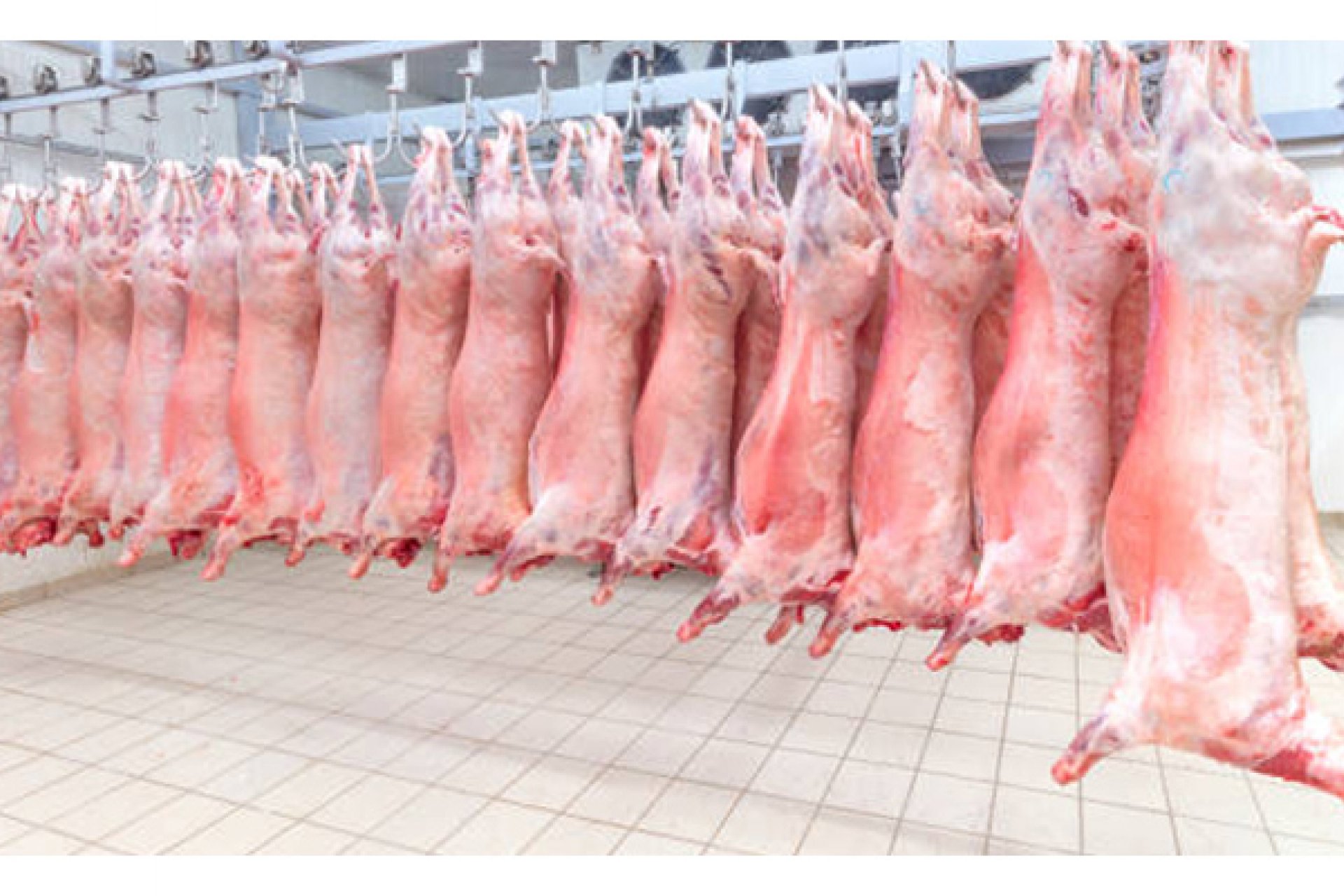 Meat and Meat Products Cooling Systems