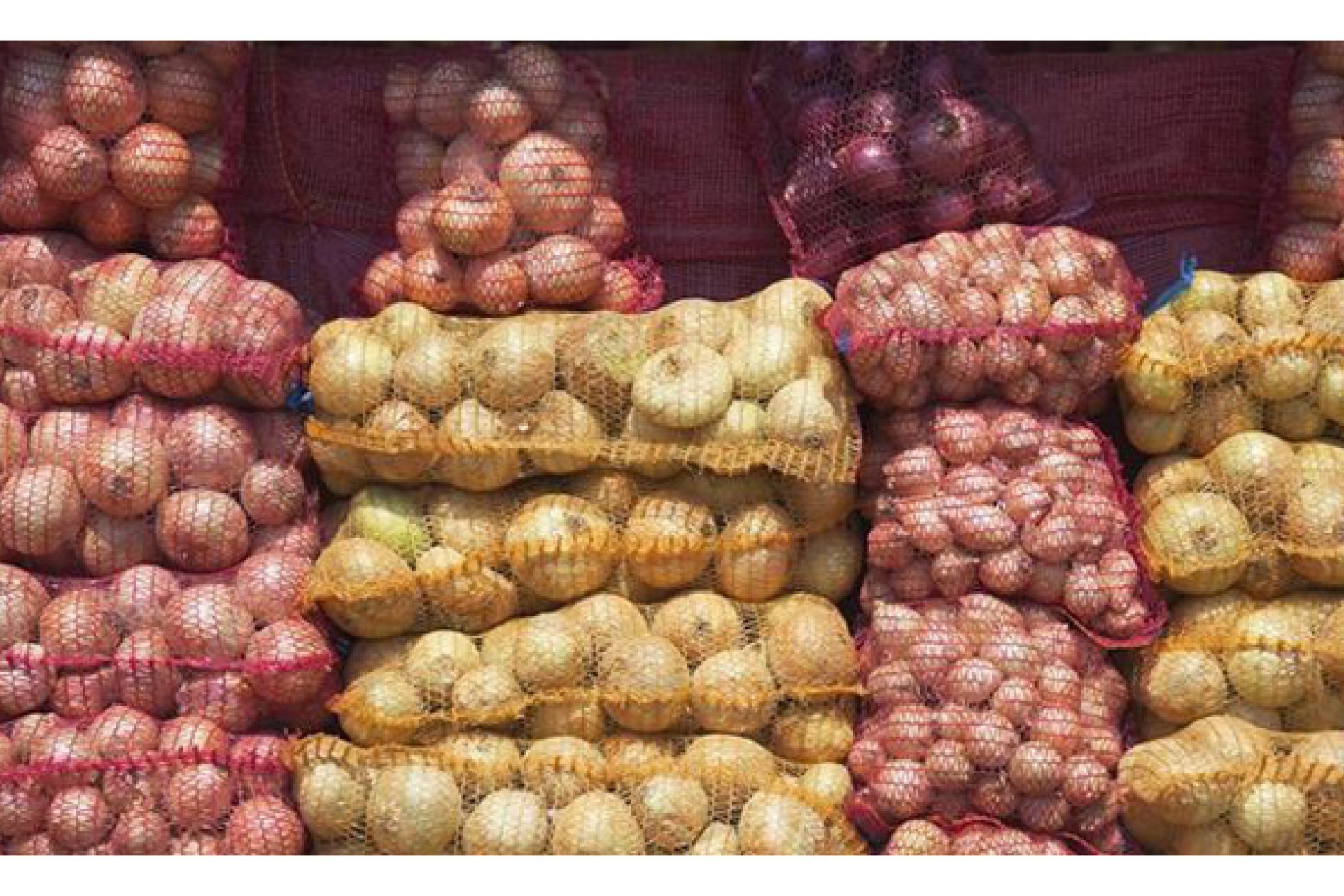 Patates & Soğan Havalandırma ve Soğutma Sistemleri